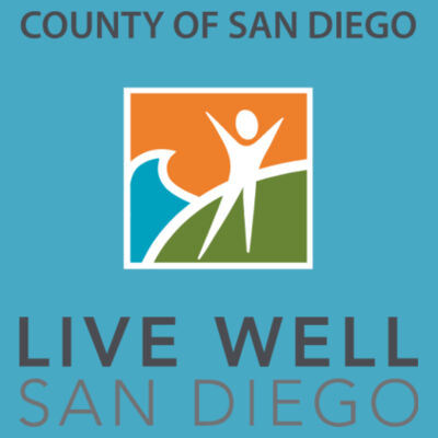 Ladies T Shirt, Short Sleeve Design