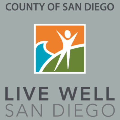 Ladies Core Cotton V Neck Tee Design