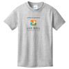 Youth 100% Cotton T Shirt, Short Sleeve Thumbnail